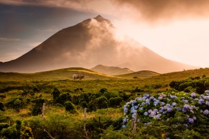Pico-Azores volcano